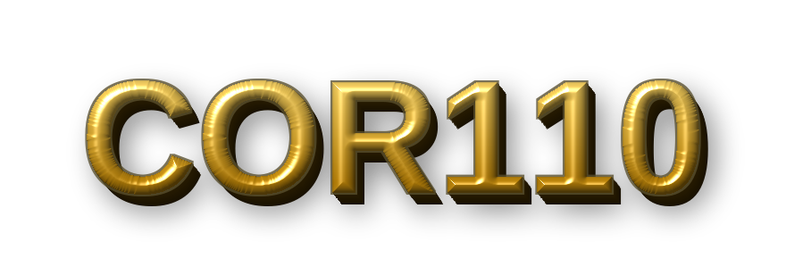 SITUS COR110